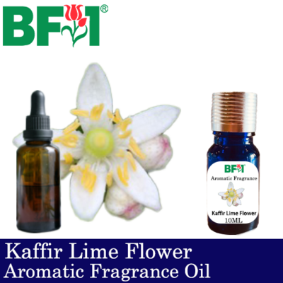 Aromatic Fragrance Oil (AFO) - Kaffir Lime Flower - 10ml