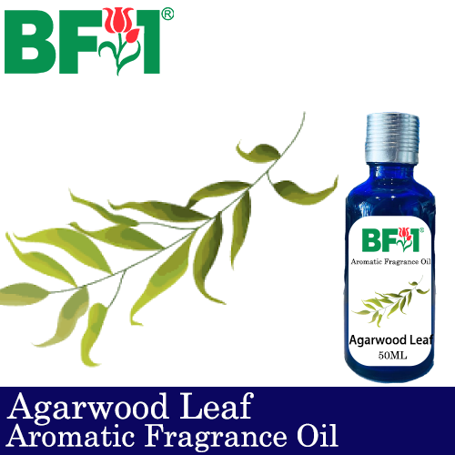 Aromatic Fragrance Oil (AFO) - Agarwood Leaf - 50ml