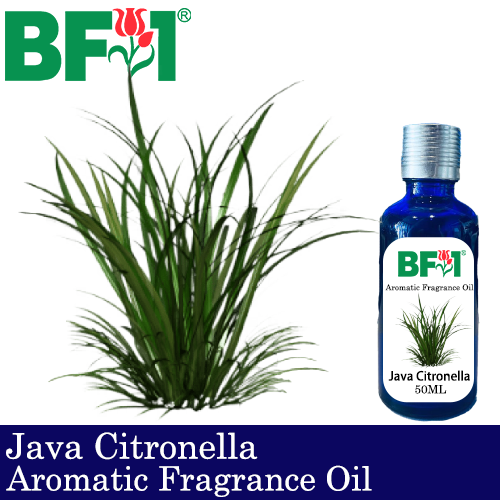 Aromatic Fragrance Oil (AFO) - Citronella - Java Citronella - 50ml