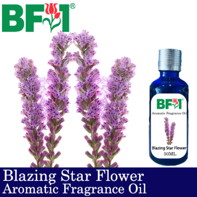 Aromatic Fragrance Oil (AFO) - Blazing Star Flower - 50ml