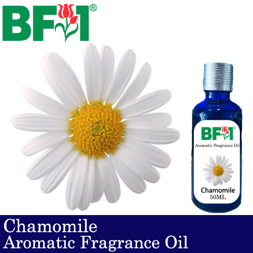 Aromatic Fragrance Oil (AFO) - Chamomile - 50ml