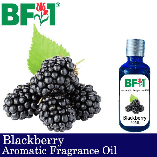 Aromatic Fragrance Oil (AFO) - Blackberry - 50ml