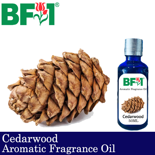 Aromatic Fragrance Oil (AFO) - Cedarwood - 50ml