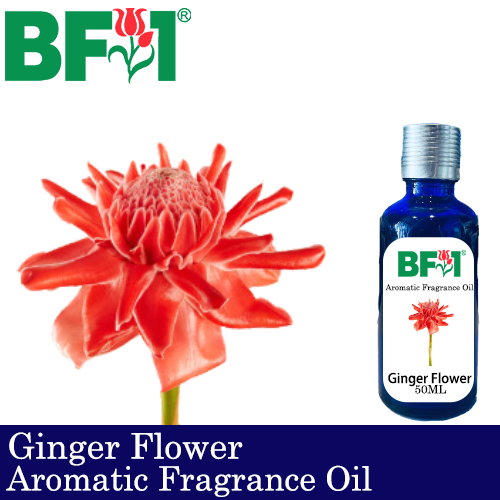 Aromatic Fragrance Oil (AFO) - Ginger Flower - 50ml