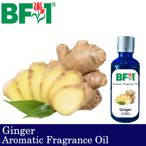 Aromatic Fragrance Oil (AFO) - Ginger - 50ml