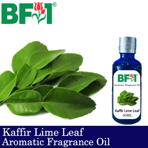 Aromatic Fragrance Oil (AFO) - Kaffir Lime Leaf - 50ml