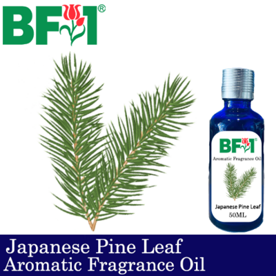 Aromatic Fragrance Oil (AFO) - Japanese Pine Leaf - 50ml