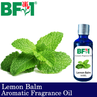 Aromatic Fragrance Oil (AFO) - Lemon Balm - 50ml