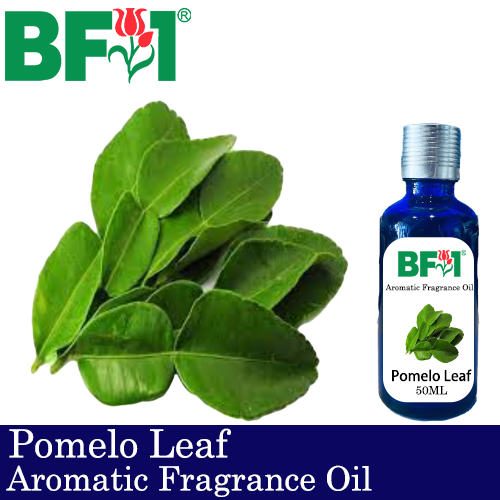 Aromatic Fragrance Oil (AFO) - Pomelo Leaf - 50ml