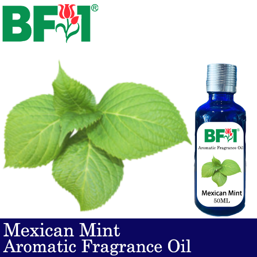 Aromatic Fragrance Oil (AFO) - Mexican Mint - 50ml