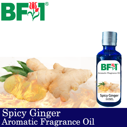Aromatic Fragrance Oil (AFO) - Spicy Ginger - 50ml