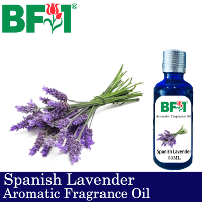 Aromatic Fragrance Oil (AFO) - Spanish Lavender - 50ml