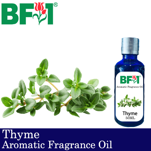 Aromatic Fragrance Oil (AFO) - Thyme - 50ml