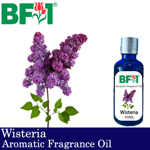 Aromatic Fragrance Oil (AFO) - Wisteria - 50ml