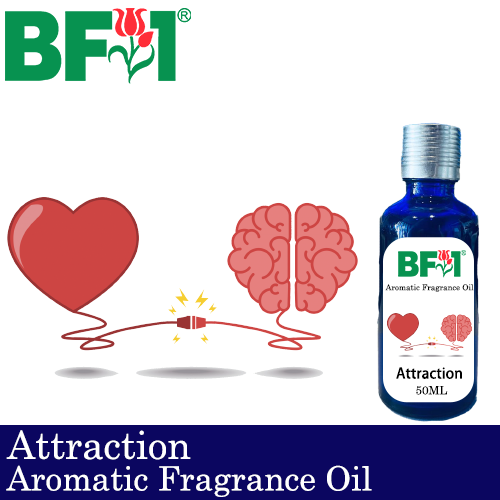 Aromatic Fragrance Oil (AFO) - Attraction - 50ml