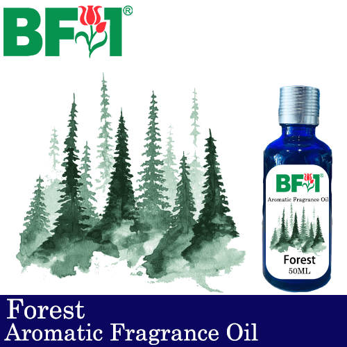 Aromatic Fragrance Oil (AFO) - Forest - 50ml