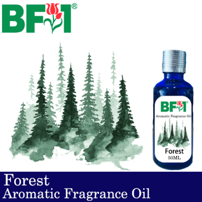 Aromatic Fragrance Oil (AFO) - Forest - 50ml Aromatic Fragrance Oil (AFO) - Forest - 50ml