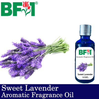 Aromatic Fragrance Oil (AFO) - Sweet Lavender - 50ml