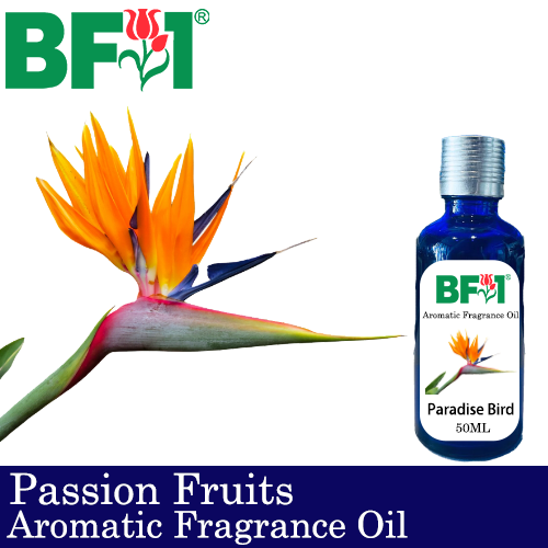 Aromatic Fragrance Oil (AFO) - Paradise Bird - 50ml