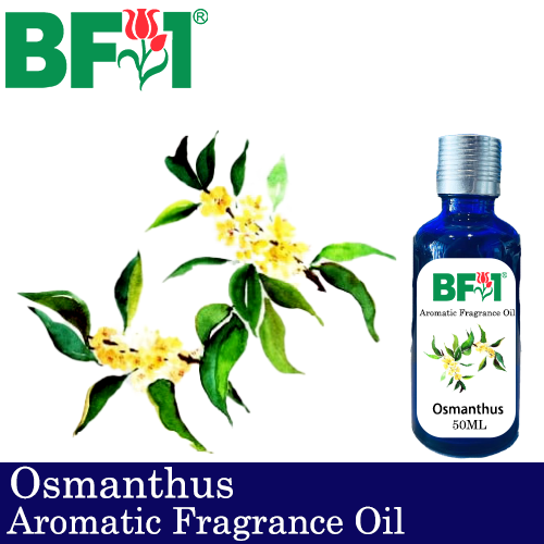 Aromatic Fragrance Oil (AFO) - Osmanthus - 50ml