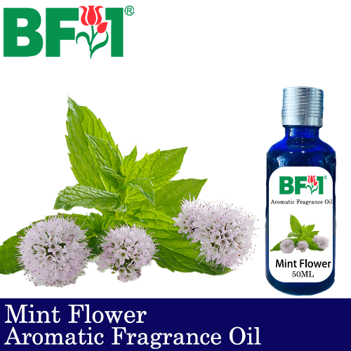 Aromatic Fragrance Oil (AFO) - Mint Flower - 50ml