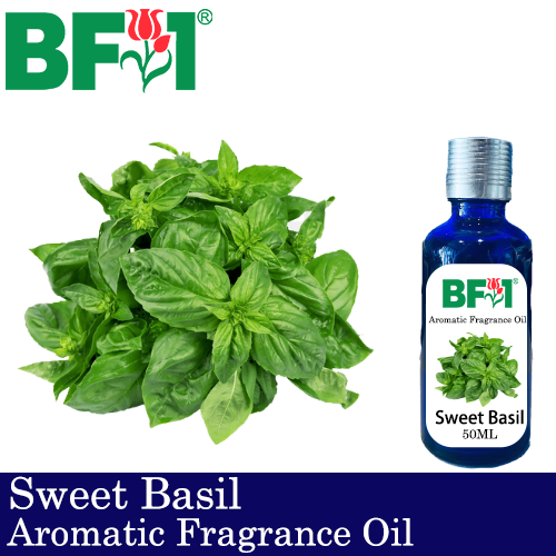 Aromatic Fragrance Oil (AFO) - Sweet Basil - 50ml