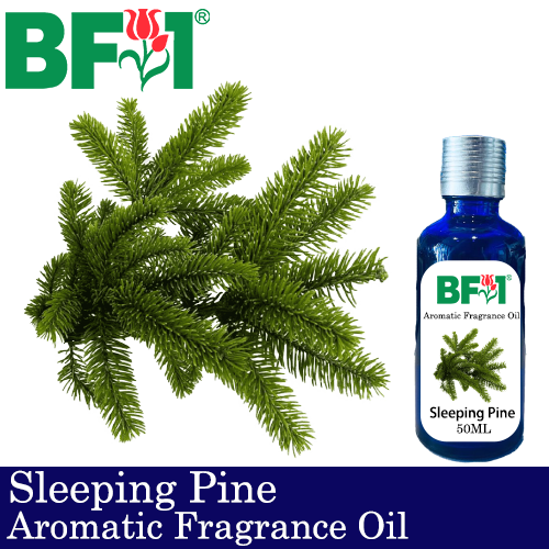 Aromatic Fragrance Oil (AFO) - Sleeping Pine - 50ml