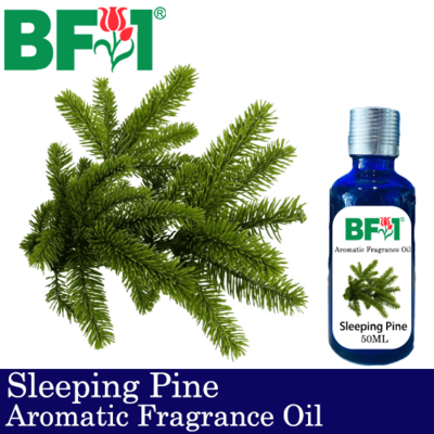 Aromatic Fragrance Oil (AFO) - Sleeping Pine - 50ml