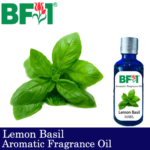 Aromatic Fragrance Oil (AFO) - Lemon Basil - 50ml