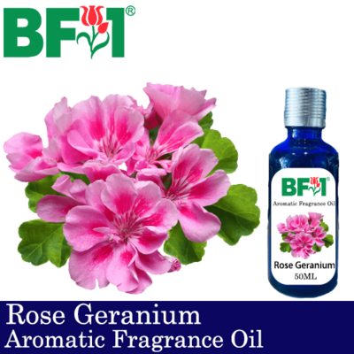 Aromatic Fragrance Oil (AFO) - Rose Geranium - 50ml
