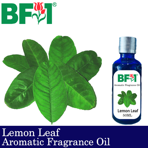 Aromatic Fragrance Oil (AFO) - Lemon Leaf - 50ml