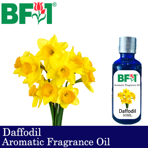 Aromatic Fragrance Oil (AFO) - Daffodil - 50ml