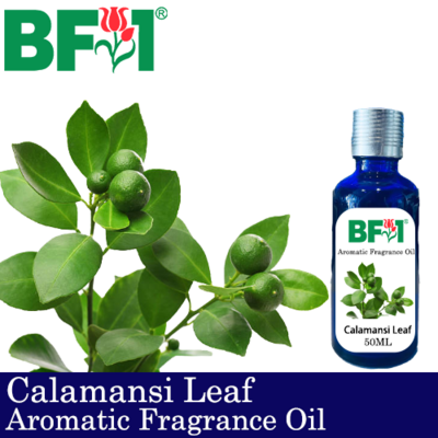 Aromatic Fragrance Oil (AFO) - Calamansi Leaf - 50ml