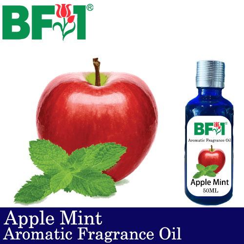 Aromatic Fragrance Oil (AFO) - Apple Mint - 50ml
