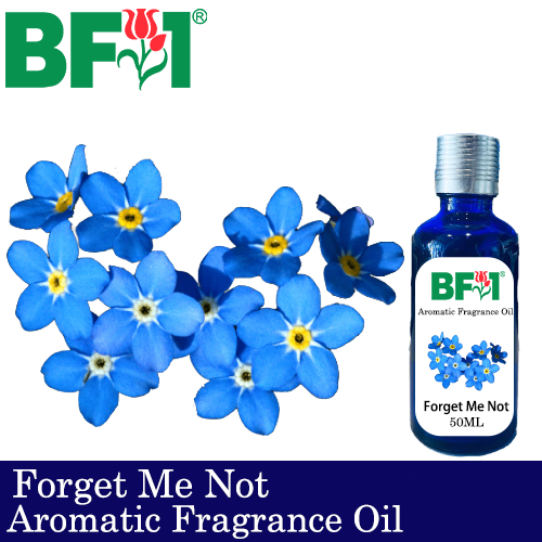Aromatic Fragrance Oil (AFO) - Forget Me Not - 50ml
