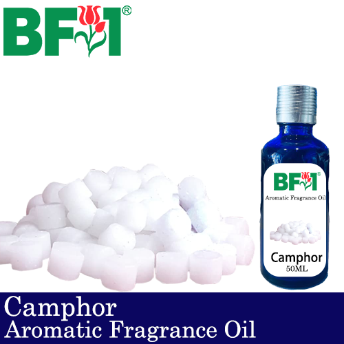 Aromatic Fragrance Oil (AFO) - Camphor - 50ml