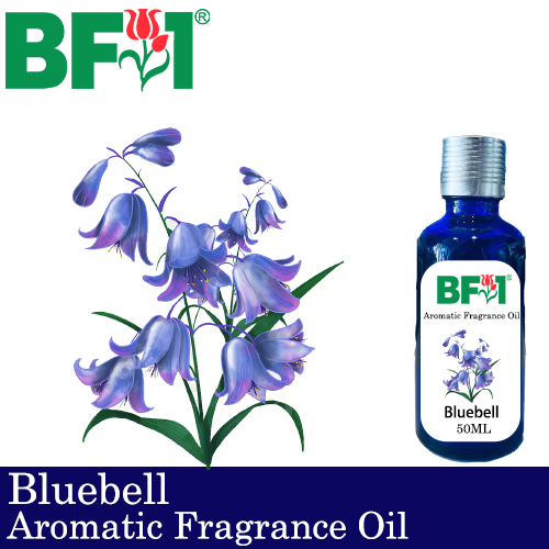 Aromatic Fragrance Oil (AFO) - Bluebell - 50ml