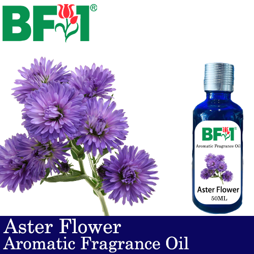 Aromatic Fragrance Oil (AFO) - Aster Flower - 50ml