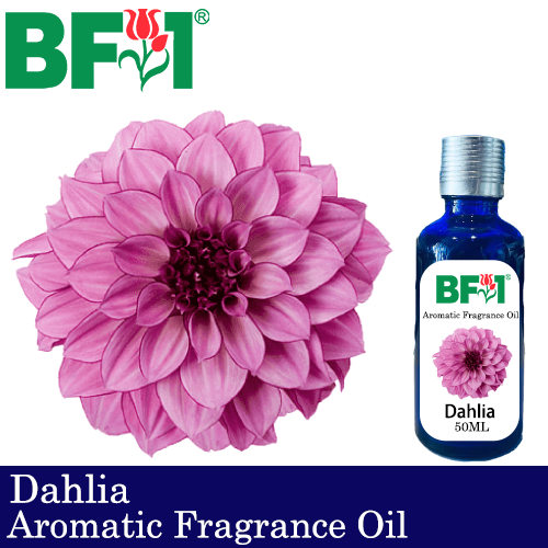 Aromatic Fragrance Oil (AFO) - Dahlia - 50ml