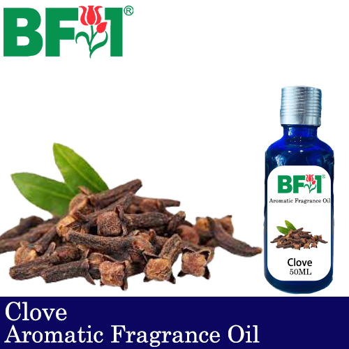Aromatic Fragrance Oil (AFO) - Clove - 50ml