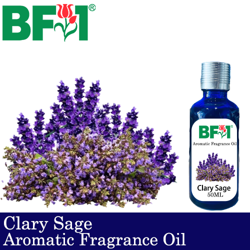 Aromatic Fragrance Oil (AFO) - Clary Sage - 50ml