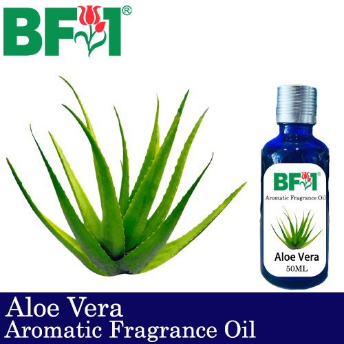 Aromatic Fragrance Oil (AFO) - Aloe Vera - 50ml