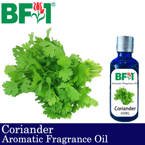 Aromatic Fragrance Oil (AFO) - Coriander - 50ml