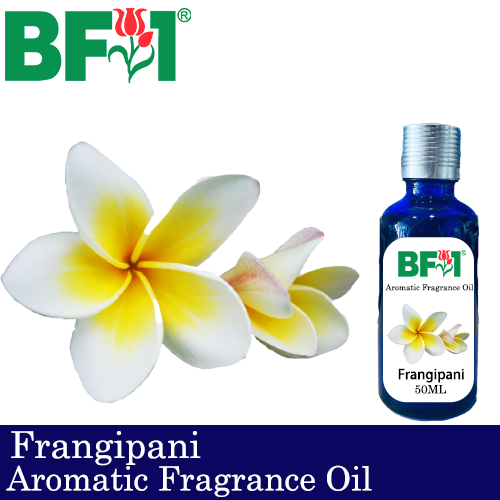Aromatic Fragrance Oil (AFO) - Frangipani - 50ml