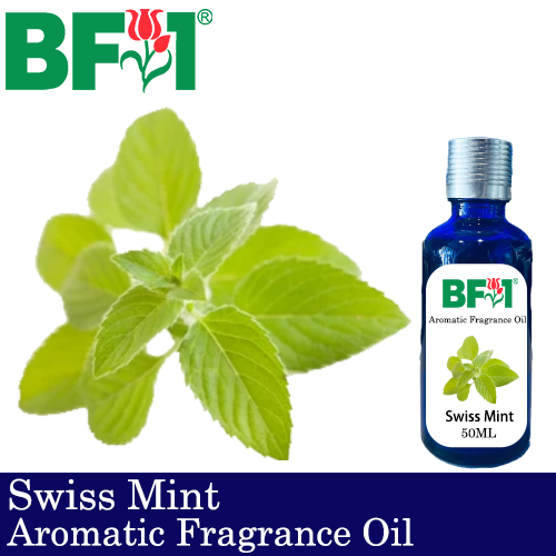 Aromatic Fragrance Oil (AFO) - Swiss Mint - 50ml