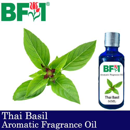 Aromatic Fragrance Oil (AFO) - Thai Basil - 50ml