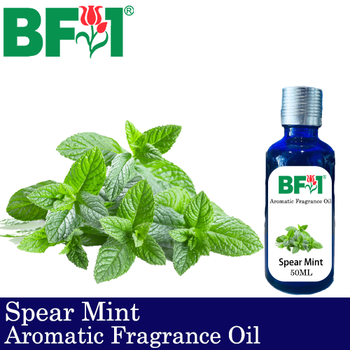 Aromatic Fragrance Oil (AFO) - Spear Mint - 50ml