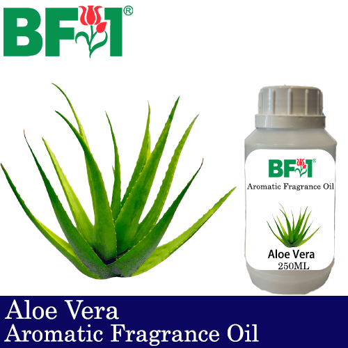 Aromatic Fragrance Oil (AFO) - Aloe Vera - 250ml