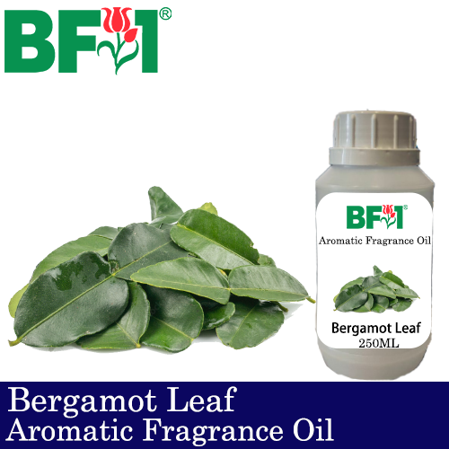 Aromatic Fragrance Oil (AFO) - Bergamot Leaf - 250ml