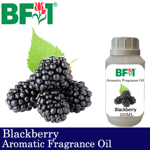 Aromatic Fragrance Oil (AFO) - Blackberry - 250ml